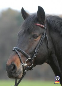 Obrazek