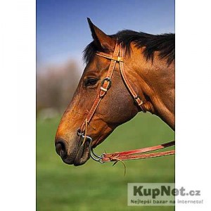 Obrazek