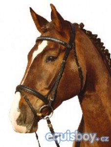 Obrazek