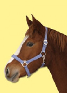 Obrazek